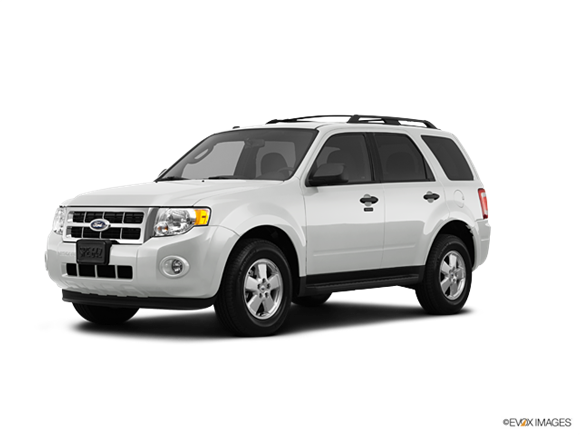2012 Ford Escape XLT  Photo