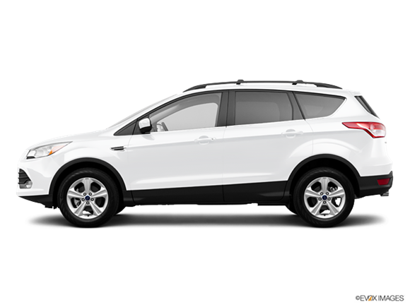 2013 Ford Escape SE  Photo
