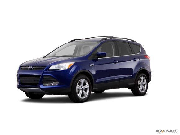 2013 Ford Escape SE  Photo