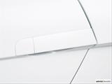  Drivers Side Door handle photo