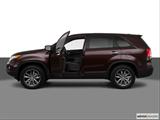  Driver's side profile with drivers side door open photo