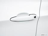  Drivers Side Door handle photo