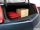  Trunk props photo