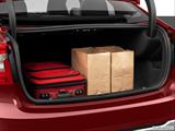  Trunk props photo