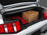  Trunk props photo