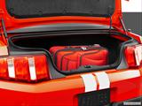  Trunk props photo