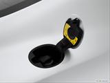  Gas cap open photo