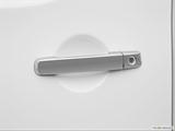  Drivers Side Door handle photo