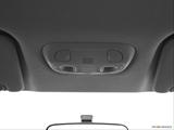  Courtesy lamps/ceiling controls photo
