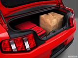  Trunk props photo