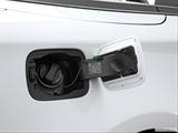  Gas cap open photo