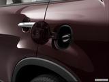  Gas cap open photo