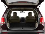  Hatchback & SUV rear angle photo