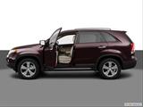  Driver's side profile with drivers side door open photo