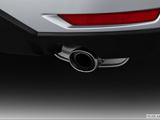  Chrome tip exhaust pipe photo