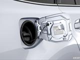  Gas cap open photo