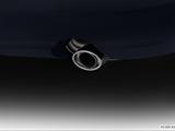  Chrome tip exhaust pipe photo