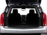  Hatchback & SUV rear angle photo