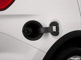  Gas cap open photo