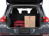  Trunk props photo