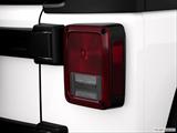  Passenger Side Taillight photo