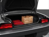  Trunk props photo