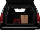  Trunk props photo