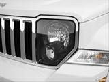  Drivers Side Headlight photo