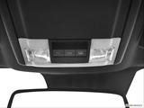  Courtesy lamps/ceiling controls photo