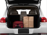  Trunk props photo