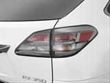  Passenger Side Taillight photo