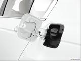  Gas cap open photo