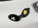  Gas cap open photo
