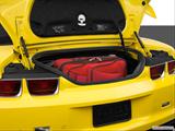  Trunk props photo