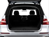  Hatchback & SUV rear angle photo