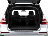  Hatchback & SUV rear angle photo