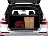  Trunk props photo