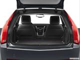  Hatchback & SUV rear angle photo
