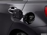  Gas cap open photo