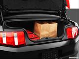  Trunk props photo