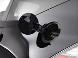  Gas cap open photo