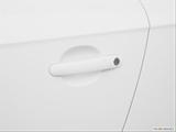  Drivers Side Door handle photo