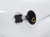  Gas cap open photo