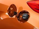  Gas cap open photo