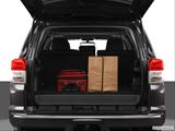  Trunk props photo
