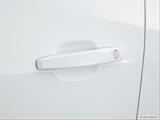  Drivers Side Door handle photo