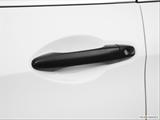  Drivers Side Door handle photo