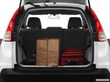 Trunk props photo