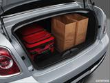  Trunk props photo