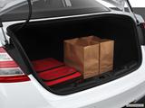  Trunk props photo
